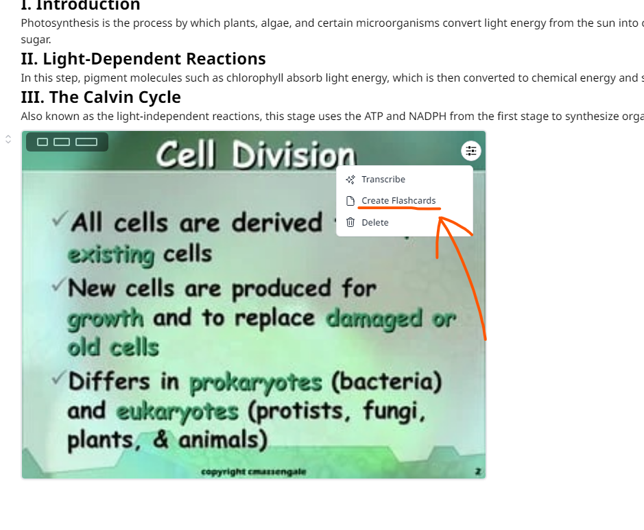 Create Flashcards Dropdown