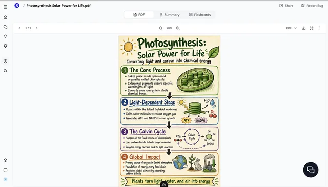 AI-generated photosynthesis infographic created from a PDF in Scholarly